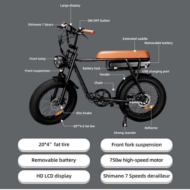 Smabike F206 20 Inch Fat Tire Lithium Battery Electric Bike